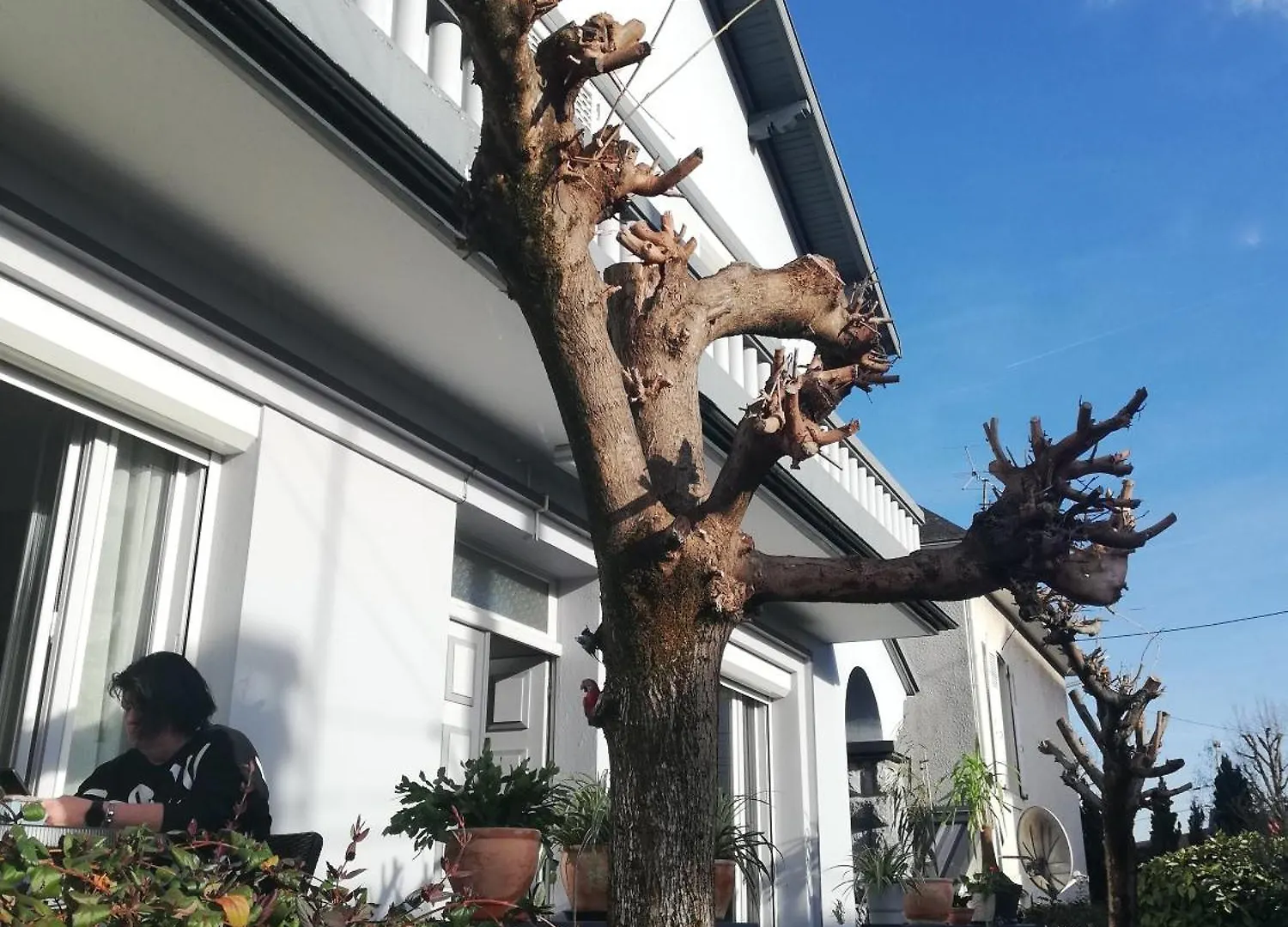 Homestay Chambre Avec Douche Apartment Lourdes France